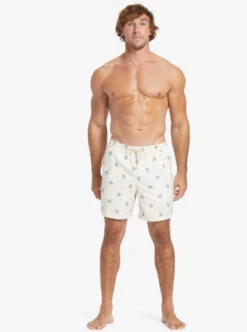 Quiksilver Waterman Small Pedals 17" Volleys 16 Quiksilver Waterman Small Pedals 17" Volleys -Mens Surf Shop aqmjv03089 quiksilverw wcl6 frt9