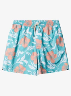 Quiksilver Waterman Big Charmer Volleys