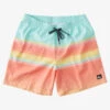 Quiksilver D Swell Vision 17" Volleys -Mens Surf Shop aqyjv03124 quiksilverf gcz6 frt1