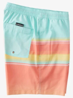 Quiksilver D Swell Vision 17" Volleys -Mens Surf Shop aqyjv03124 quiksilverf gcz6 sd2