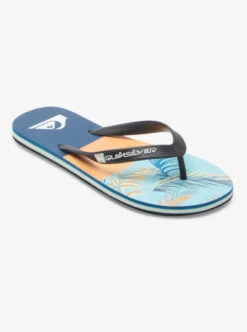 Quiksilver Molokai Panel Flip-Flops