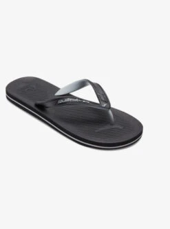 Quiksilver Haleiwa Core Flip-Flops