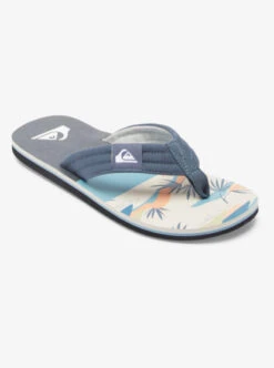 Quiksilver Molokai Layback Sandals For Men