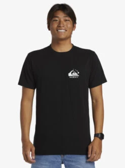 Quiksilver Hi Flagpole T-Shirt