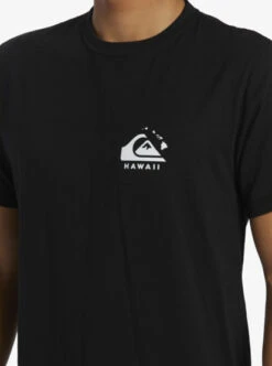 Quiksilver Hi Flagpole T-Shirt -Mens Surf Shop aqyzt09358 quiksilverw kvj0 frt3