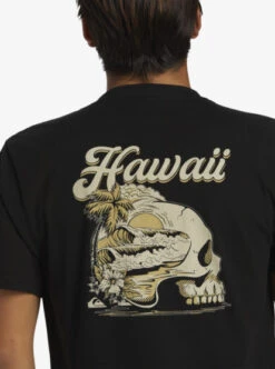 Quiksilver Hi Water On The Brain T-Shirt -Mens Surf Shop aqyzt09360 quiksilverw kvj0 frt3