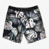 Quiksilver Highlite Arch 19'' Boardshorts 1 Quiksilver Highlite Arch 19'' Boardshorts -Mens Surf Shop eqybs04648 quiksilverf kvj8 frt1