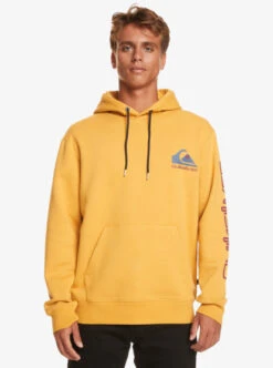 Quiksilver Omni Logo Hoodie