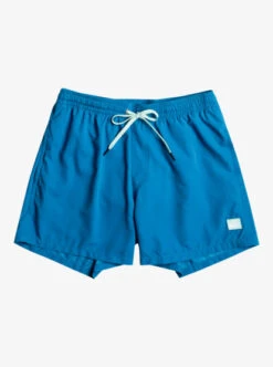 Quiksilver Everyday 15" Volleys