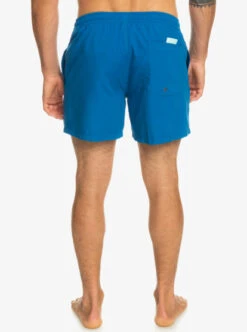 Quiksilver Everyday 15" Volleys -Mens Surf Shop eqyjv03531 quiksilverw brt0 bck1