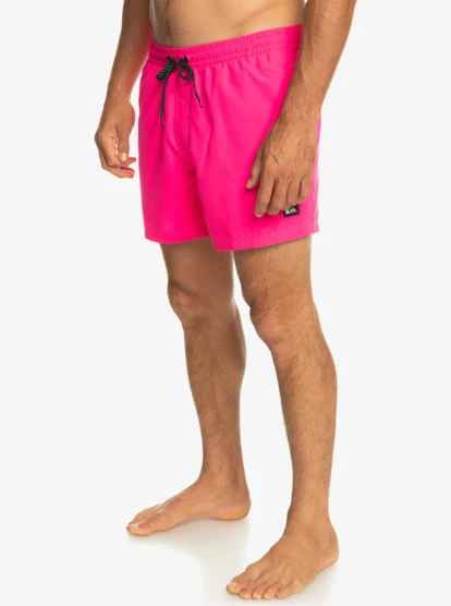 Quiksilver Everyday 15" Volleys 6 Quiksilver Everyday 15" Volleys - Image 4