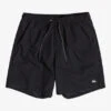 Quiksilver Everyday 17" Volleys For Young Men -Mens Surf Shop eqyjv03853 quiksilverf kvj0 frt1
