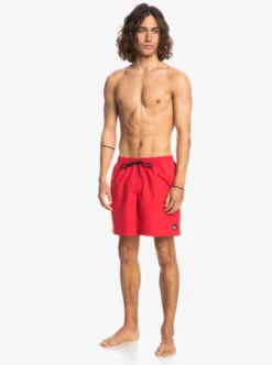 Quiksilver Everyday 17" Volleys For Young Men -Mens Surf Shop eqyjv03853 quiksilverw rqc0 frt9