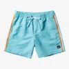 Quiksilver Beach Please 17" Volleys