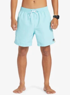 Quiksilver Beach Please 17" Volleys 12 Quiksilver Beach Please 17" Volleys -Mens Surf Shop eqyjv03992 quiksilverw bgd0 frt1