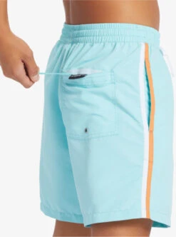 Quiksilver Beach Please 17" Volleys 14 Quiksilver Beach Please 17" Volleys -Mens Surf Shop eqyjv03992 quiksilverw bgd0 frt3