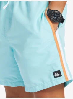 Quiksilver Beach Please 17" Volleys 15 Quiksilver Beach Please 17" Volleys -Mens Surf Shop eqyjv03992 quiksilverw bgd0 frt4