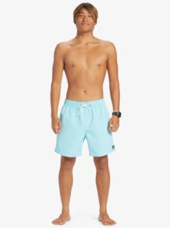 Quiksilver Beach Please 17" Volleys 16 Quiksilver Beach Please 17" Volleys -Mens Surf Shop eqyjv03992 quiksilverw bgd0 frt9