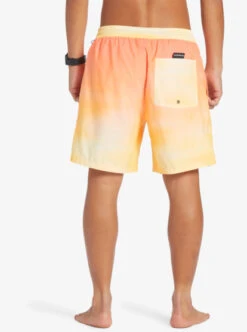 Quiksilver Everyday Breeze 17" Volleys -Mens Surf Shop eqyjv04034 quiksilverw njp7 bck1