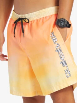 Quiksilver Everyday Breeze 17" Volleys -Mens Surf Shop eqyjv04034 quiksilverw njp7 frt3