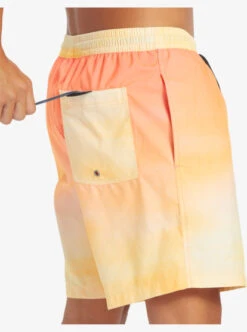 Quiksilver Everyday Breeze 17" Volleys -Mens Surf Shop eqyjv04034 quiksilverw njp7 frt4