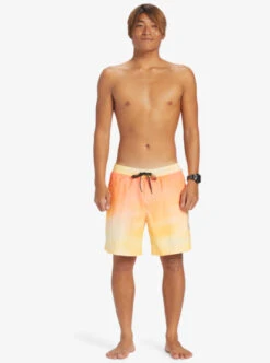 Quiksilver Everyday Breeze 17" Volleys -Mens Surf Shop eqyjv04034 quiksilverw njp7 frt9