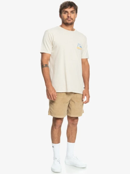 Quiksilver Taxer Cord Shorts 9 Quiksilver Taxer Cord Shorts - Image 7