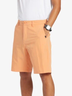 Quiksilver Ocean Union Amphibian 20" Hybrid Shorts -Mens Surf Shop eqyws03782 quiksilverw njp0 frt3