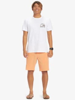 Quiksilver Ocean Union Amphibian 20" Hybrid Shorts -Mens Surf Shop eqyws03782 quiksilverw njp0 frt9