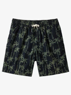 Quiksilver Taxer Print Elastic Waist Shorts